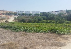  Beach front Land Kissonerga Potima Bay