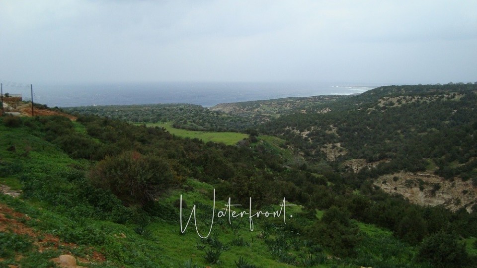 Detached Villa For Sale  in  Peyia