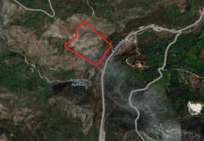 Agricultural Land For Sale in Episkopi, Paphos - SL22094