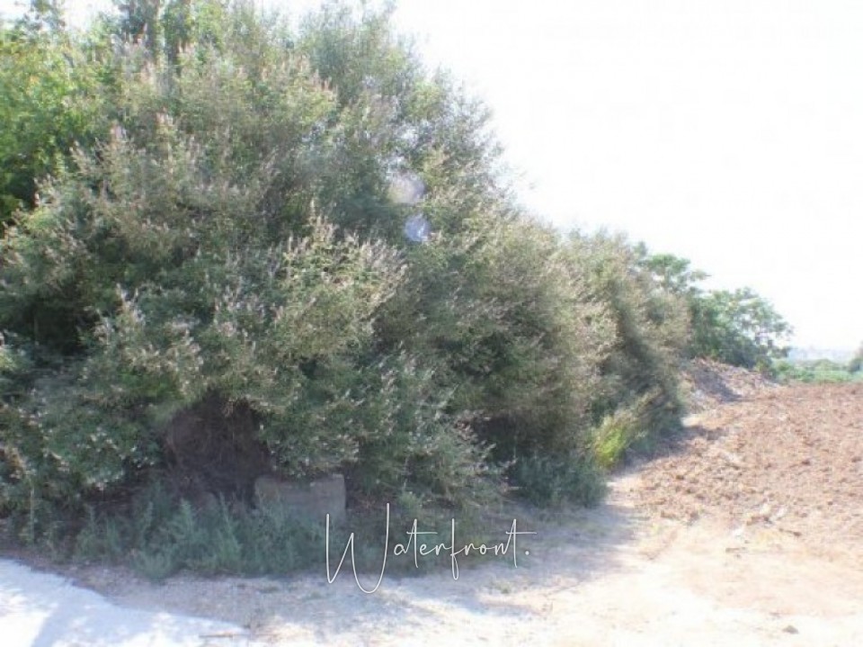 Land for sale in Kissonerga, close to village centre
