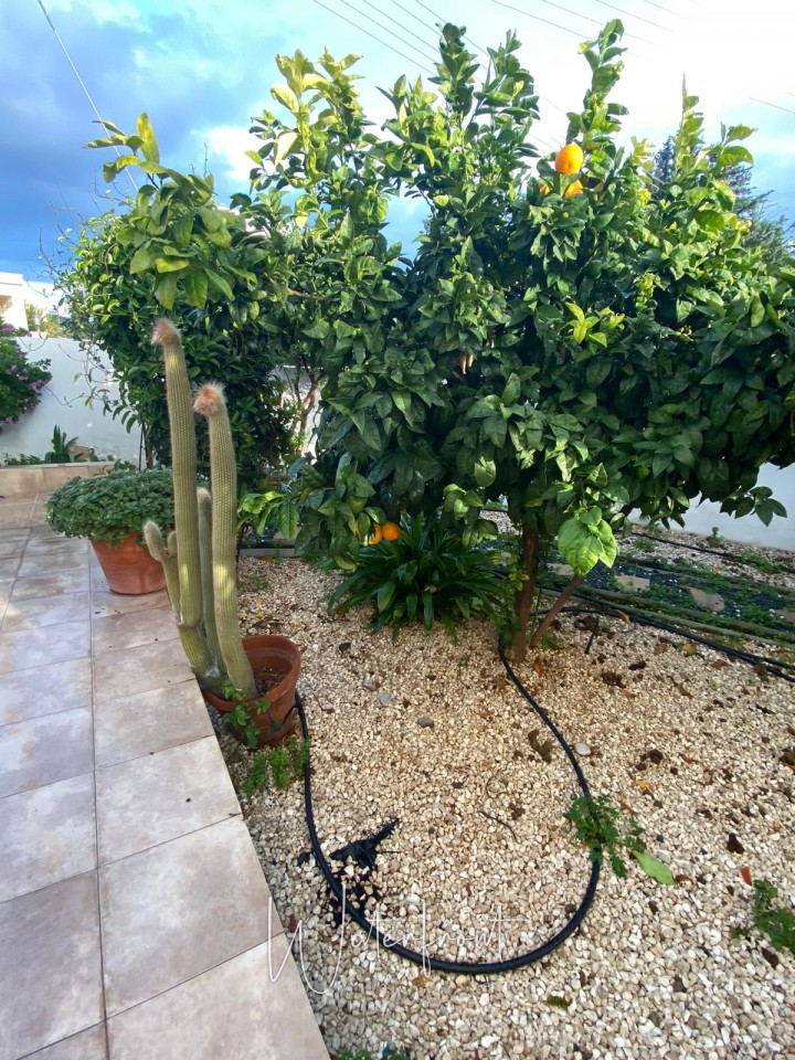 Detached Villa For Sale  in  Emba