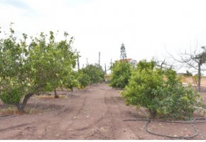 Bungalow For Sale  in  Sea Caves - St.George