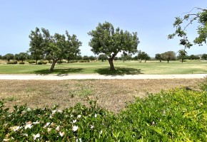 Detached Villa For Sale  in  Aphrodite Hills