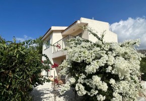 Detached Villa For Sale in Coral Bay, Paphos - SL24017