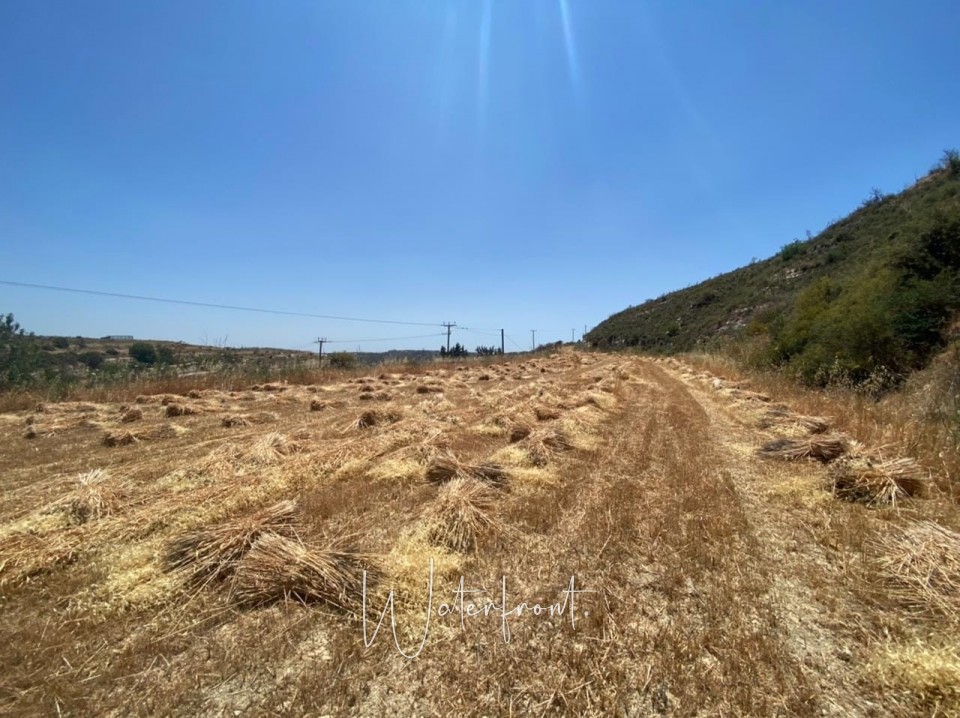 Agricultural Land For Sale  in  Tsada