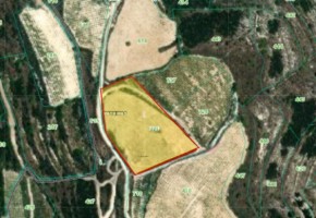 Agricultural Land For Sale in Kathikas, Paphos - SL21739