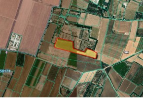 Agricultural Land For Sale in Timi, Paphos - SL22214