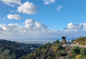 Bungalow For Sale  in  Tsada