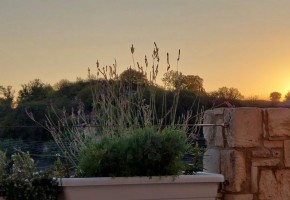 Bungalow For Sale  in  Tsada