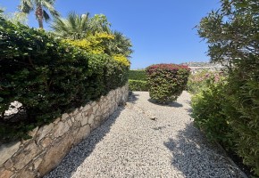 Apartment For Sale  in  Peyia