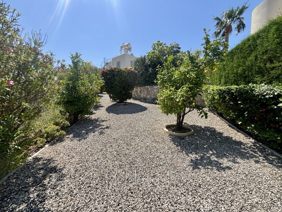 Apartment For Sale  in  Peyia