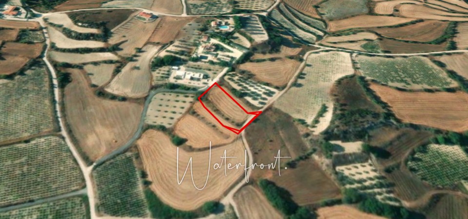 Agricultural Land For Sale  in  Polemi