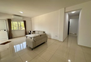 Apartment For Sale  in  Mesoyi