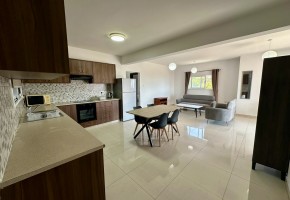 Apartment For Sale  in  Mesoyi