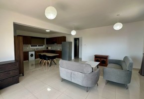 Apartment For Sale  in  Mesoyi