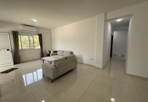 Apartment For Sale  in  Mesoyi