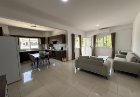 Apartment For Sale  in  Mesoyi