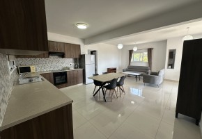 Apartment For Rent  in  Mesoyi