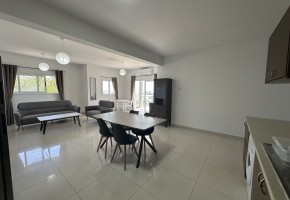 Apartment For Rent  in  Mesoyi