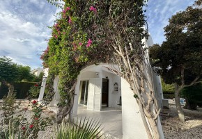 Detached Villa For Sale  in  Acheleia