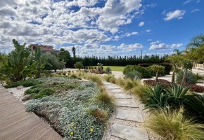 Detached Villa For Sale  in  Peyia