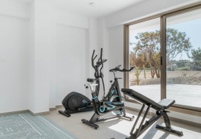 Penthouse For Sale  in  Kato Paphos