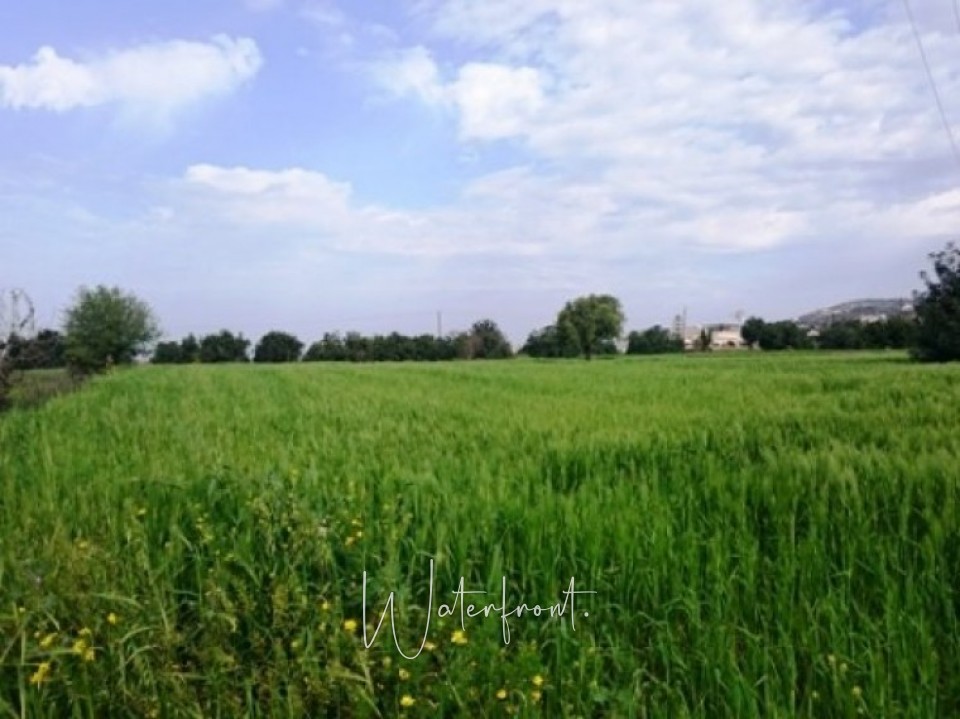 For Sale Plot of Land in Tremithousa, Paphos