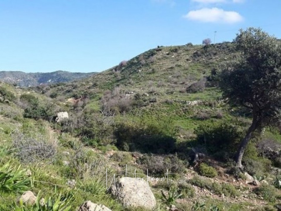 Big plot of land for sale in Pegia Area