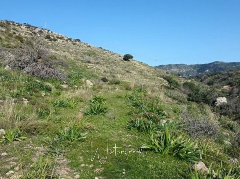 Big plot of land for sale in Pegia Area