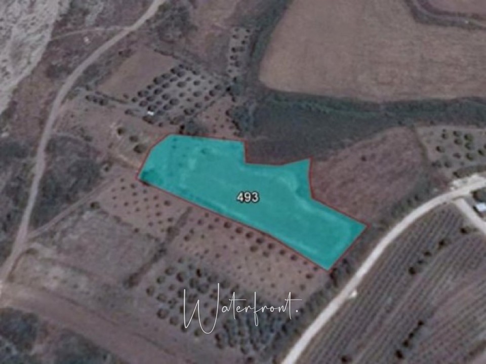 Land in Choletria