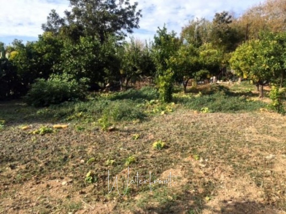 Land in Anavargos, Paphos 