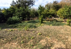 Residential Land  For Sale in Anavargos, Paphos - SL16960