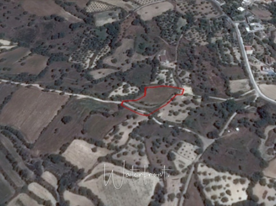 Land in Amargeti 