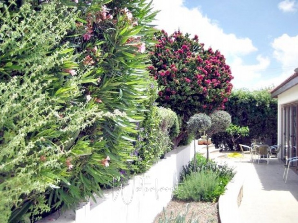 4 Bedroom Villa + 1 Bedroom Apartment  in Tala, Paphos
