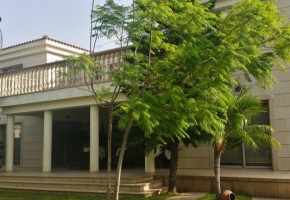 5 bedroom villa in Tala, Paphos 